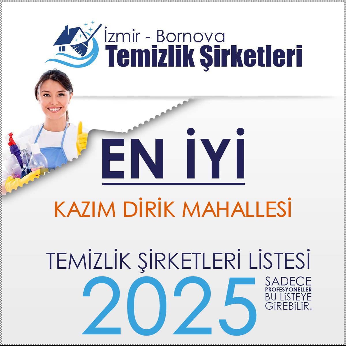 Bornova Kazım Dirik Mahallesi En İyi Temizlik Şirketi