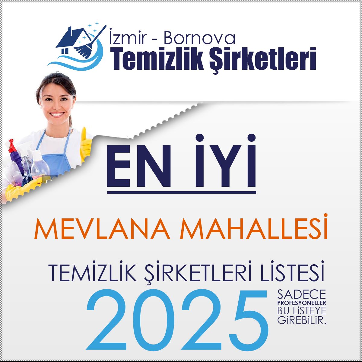 Bornova Mevlana Mahallesi En İyi Temizlik Şirketi